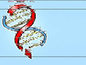 DNA Profiling Bill to be discussed by Narendra Modi government tomorrow