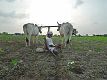 Farmer---india---BCCL
