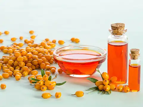 Sea Buckthorn