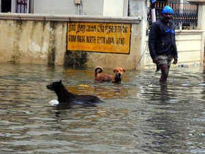 Chennai-flood-bccl