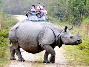 Special Rhino Protection Force