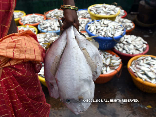 Why is fish laced with formalin?