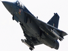 Tejas' price can’t come down