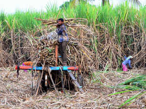 Sugarcane-mills