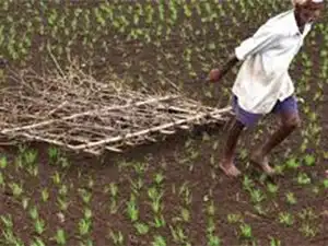 farmer
