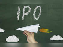 IPO play: Look out for these blind spots