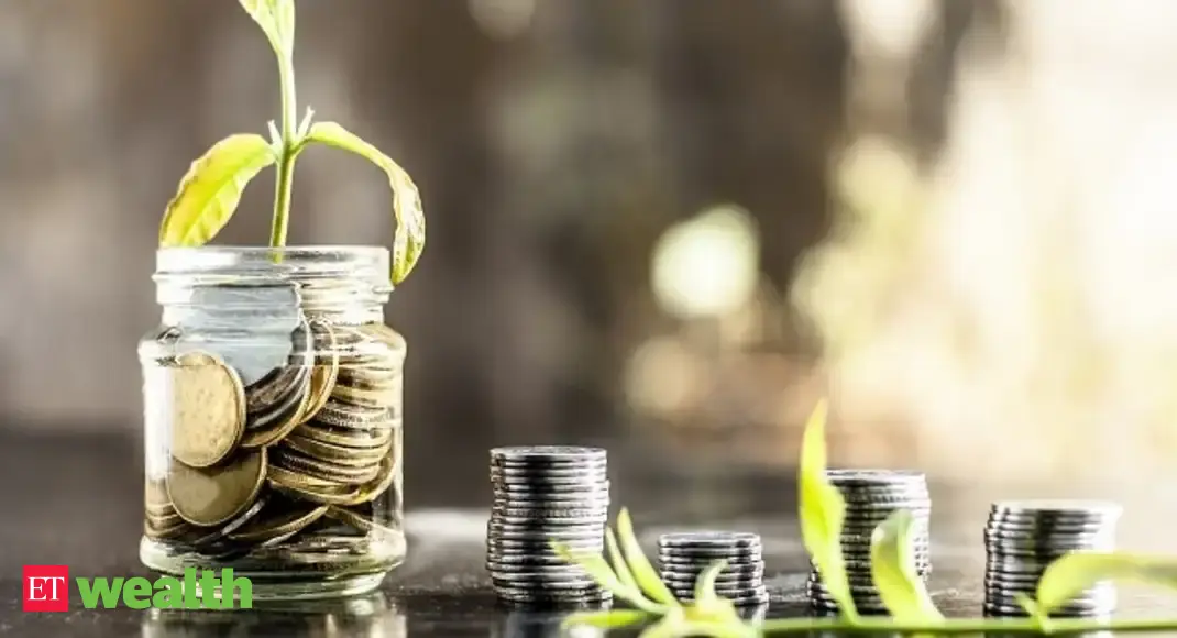 DSP Mutual Fund