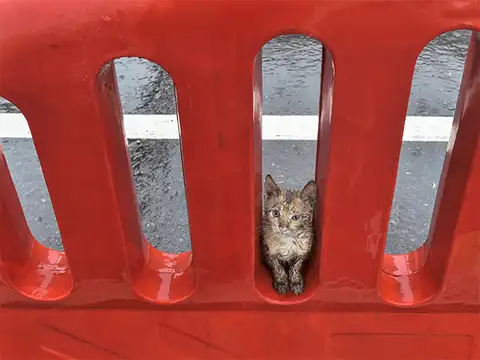 Taking shelter