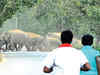 Bannerghatta National Park faces a direct threat from an exploding Bengaluru