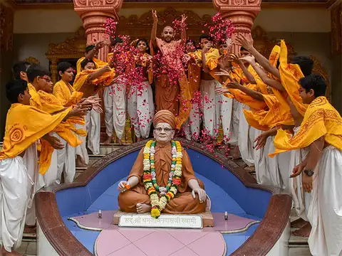 Birth anniversary of Sage Vyas
