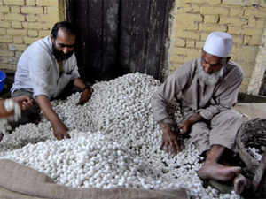 kashmir-farmer-bccl