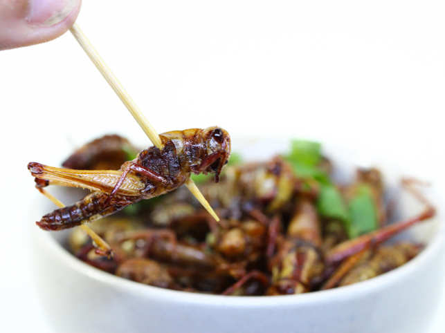 food-cricket-Entomophagy1_GettyImages