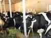 Future Group partners New Zealand dairy firm Fonterra