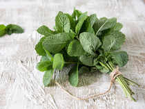 Mentha---Thinkstock-1