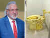 Flush with funds: Vijay Mallya's London manor has a gold toilet, reveals author James Crabtree