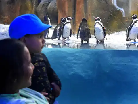 A hit with children