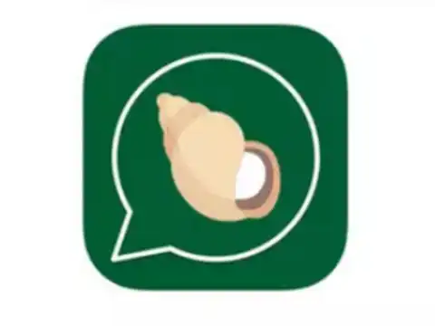 Conspiracy against desi Whatsapp