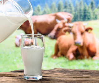 Breakfast club: A glass of milk a day keeps diabetes away