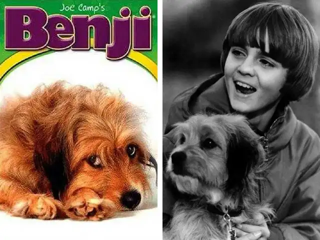 movie benji 1974
