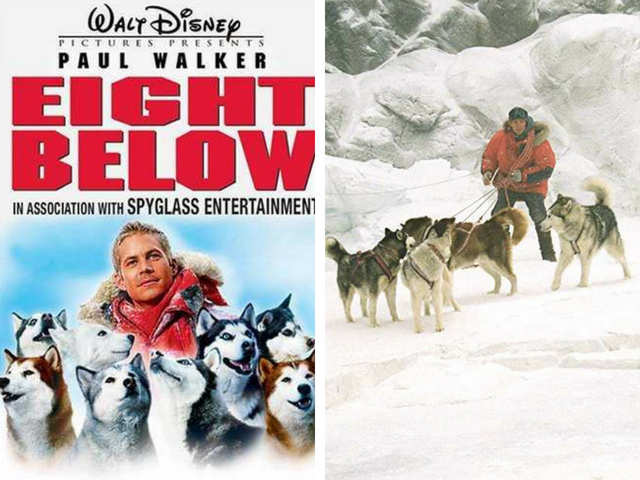 Eight Below (2006)