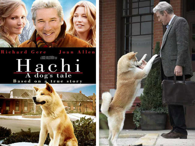 Hachi: A Dog's Tale (2009)