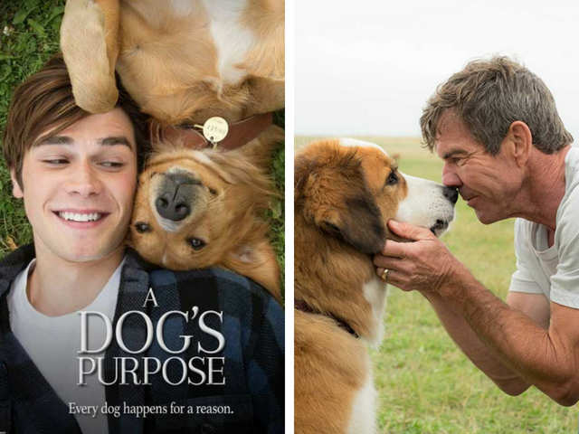 The Dogs Purpose (2017)