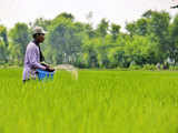 15.55 million tonnes of fertilisers sold via PoS under DBT scheme in April-July