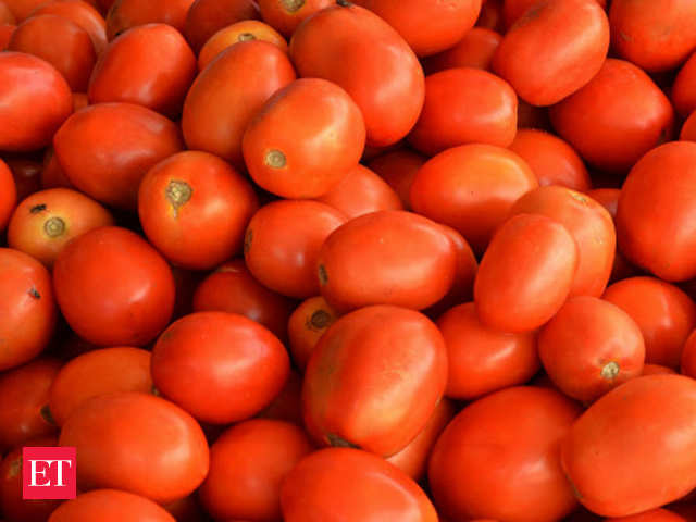 Lam naald Caius Tomato Price: Price of tomatoes plunges to Rs 2 per kg