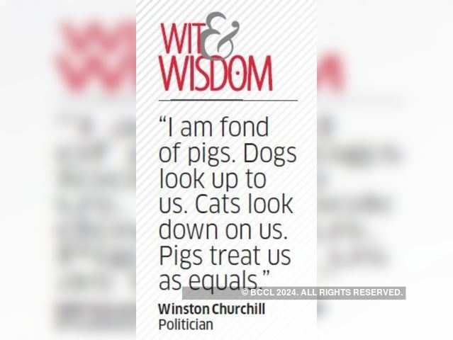 Quote by Winston Churchill