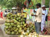 Heavy rains in Kerala to increase coconut yield