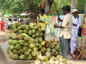 Coconut-