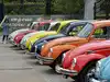 Beetle history