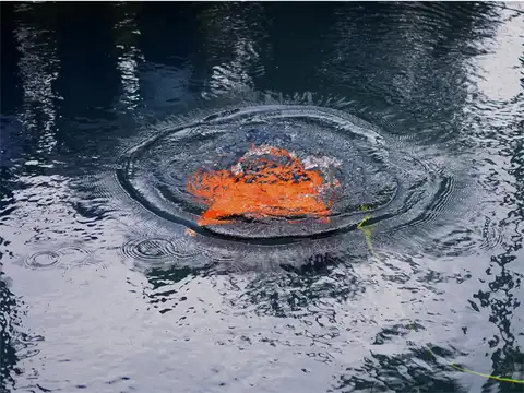 First commercial ROV