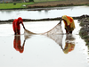 More women getting into farming, show agriculture census