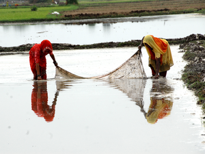 Women-farm-bccl