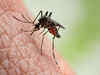 India on alert as zika virus hits tourism hotspot of Jaipur