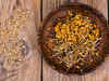 Agriwatch: Mustard declines; jeera up; soya slides