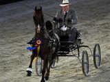 Opening ceremony of the World Equestrian Games