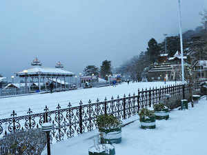Shimla-bccl