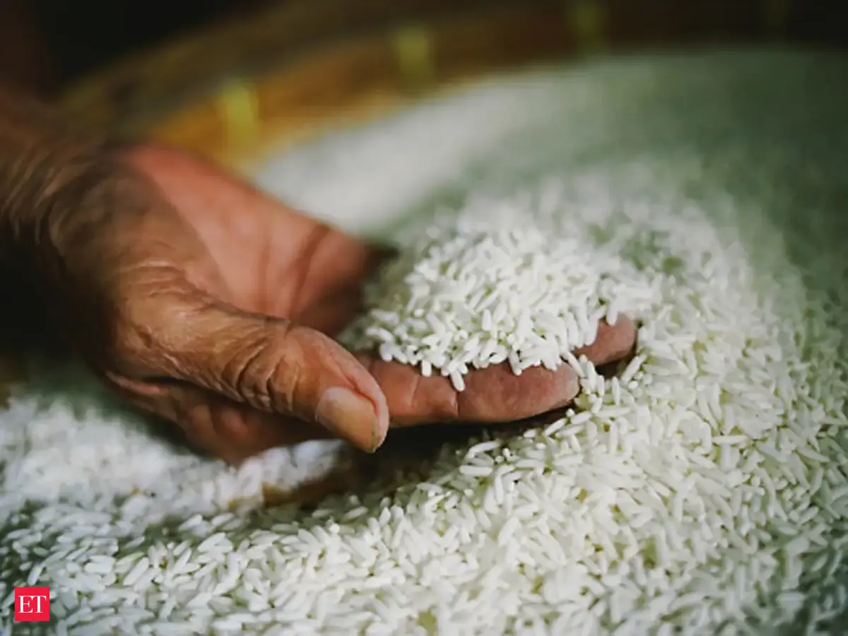 No bright future - Grain pain: Japan's ageing rice farmers face ...