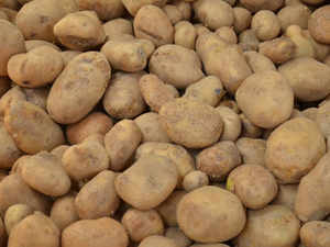 Potato-bccl
