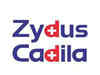 Zydus Cadila set to bag Kraft Heinz portfolio for Rs 4600 crore, announcement likely on Wednesday