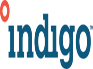 Indigo-TM-Logo_Color-300x96