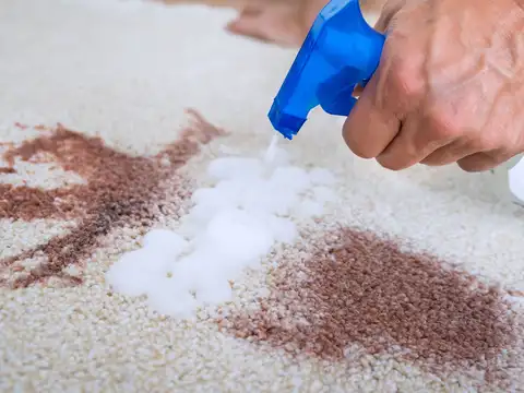 Cleaning Stains