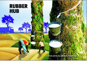 Rubber Production
