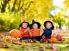 California dreaming: Gold, vermillion leaves, pumpkin pie spice, & gratitude this Halloween
