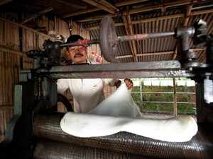 Rubber making in Karbi Anglong, Assam