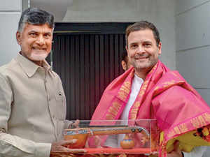 rahul-and-TDP-chief-bccl