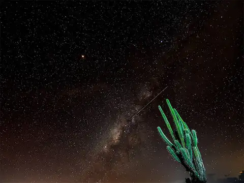 Lone wanderer