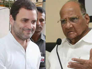 pawar-Rahul-Agencies